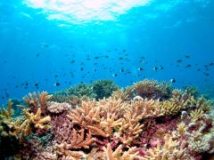 410 000sq km of marine area will be protected by the debt-for-conservation swap.