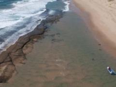 Wilderness Safaris has rebranded Rocktail in Maputaland Coastal Forest.