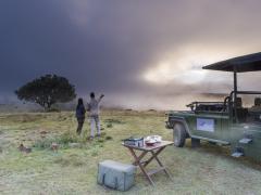 Mount Camdeboo Private Game Reserve will introduce elephant and lion in 2018 to become a Big Five reserve.