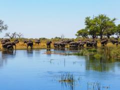 The Roads Authority in Namibia is undertaking to repair roads in the Zambezi region.