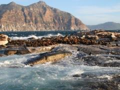 Marine conservation plays an integral part in protecting and growing South Africa’s tourism sector.
