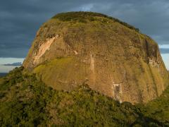 A secret rainforest at the heart of a volcano has been discovered in Mozambique.