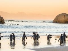 Tintswalo will launch two new properties in Cape Town and the Waterberg.