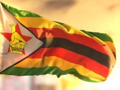 Zimbabwe Tourism Authority has appointed VFS Global to market the country as a preferred tourist destination in India and the GCC region.