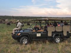 Wild Hospitality launches unique safari experiences at its lodges.
