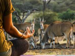 Great Plains Conservation will host two yoga retreats at the end of the year. Credit: Heather Bonker.