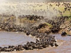 Mobile camps are becoming a popular way of seeing the wildebeest migration.