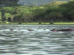 Hotels and investors must now comply with the opening of corridors around Lake Naivasha which they have been accused of blocking.  
