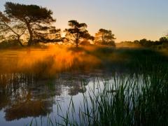 Ernest Mokganedi, Transfrontier Conservation Areas (TCFA) Director of the Department of Environmental Affairs, has died.