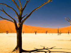 NTB workers have listed a number of grievances against top management at the organisation.