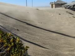 Infrastructure developments are set to improve access for tourists to Tsau//Khaeb National Park. Credits: Namibia’s Ministry of Environment & Tourism.