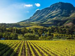 Minister Hanekom says Stellenbosch is a growing destination for both business and leisure.