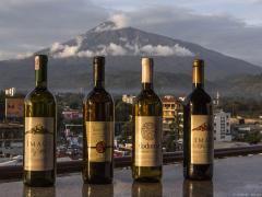 The Dodoma Wine Festival will take place in November to showcase the region’s wine and other attractions.