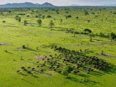 The government of Tanzania has pledged to undertake an environmental impact assessment prior to beginning work on a power plant in the Selous Game Reserve.