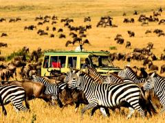 Tanzania recorded the US as its biggest market for tourist arrivals in 2017.
