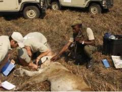 Wilderness Safaris puts conservation at its core, celebrating its 35th birthday with its latest itinerary, Frontier Ecotourism Presence.