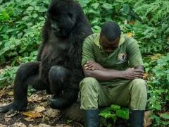 World Ranger Day 2018 places special focus on the extent Africa’s rangers go to protect the wilderness and wildlife.