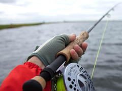 Tourism Update finds out when and where to go for those looking for the ultimate Zambian fishing experience.Credits: Shackletons.