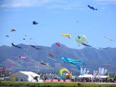 Over 20 000 visitors come to Cape Town to be a part of the festival.