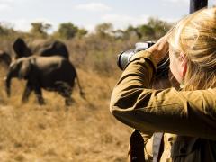 Photographic safaris continue to gain momentum. 