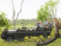 Global tour company Contiki has launched tours in southern and East Arica for the first time.