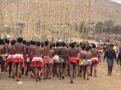 This year’s Reed Dance will take place on the same weekend as the 25th Swazi Rally.