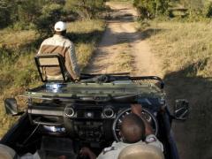 Fair Trade Tourism consortium will be developing responsible tourism criteria for the Greater Kruger area, to promote the wildlife economy and associated socio-economic development.