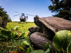 Hilton Seychelles has committed to restoring and protecting the environment.