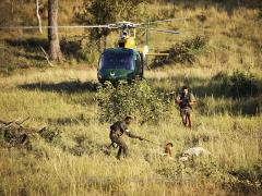 The Kruger National Park has declared a war on poaching, as many enter the park armed, jeopardising the lives of rangers and wildlife alike.