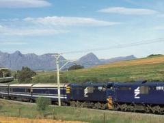 The Blue Train has announced its special departure dates to the Greater Kruger.
