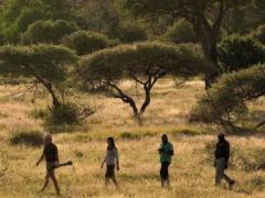Shishangeni by BON Hotels in the Kruger National Park has introduced bush walks for guests. Credit: Lion Sands Game Reserve.