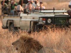 Tintswalo Safari Lodge is catering for avid photographers with its latest photography promotion.