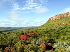 Birders can enjoy over 300 species of birds in the Waterberg.