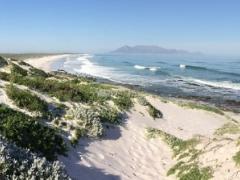 Green Coast Status awarded to Blaauwberg Nature Reserve puts the coastline back on the tourism map. 