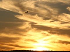 Regulations prompt Coastal Aviation to review its evening flight schedule between Dar es Salaam and Zanzibar.