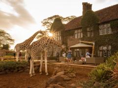 Resident giraffes make for an interesting stay.