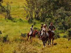A seven-night riding safari offers guests luxury game viewing from horseback. Credit: Borana Lodge.