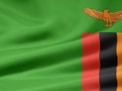 Zambia’s arrivals grew by almost 7 000 visitors from January to June.