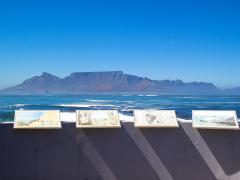 Cape Town gears up for the festive season.