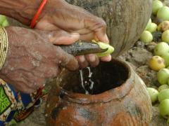 Limpopo’s annual festival celebrates the region’s marula tree through music, food and culture.