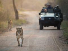 Kapama Private Game Reserve is growing.