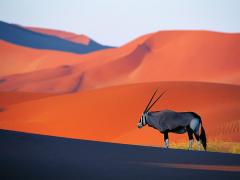 Pamwe Tourism Investments and ERM Tours & Safaris have joined forces to develop tours in Namibia.