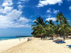 The Gulf carrier has announced it is investigating a direct flight from Europe to Malindi to fill the current gap in the market.