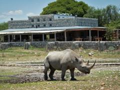 2019 to see opening of Andersson’s Camp.