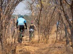 Wild Horizons recently introduced bicycle tours in Victoria Falls, Zimbabwe, visiting either an open-air market or the Zambezi Nature Sanctuary and Crocodile Ranch. Credits: Wild Horizons.