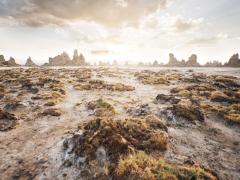 Djibouti will make its debut at WTM Africa, showcasing its offerings for the first time as the country’s government looks to tourism to boost its economy.