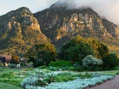 ILTM Africa will take place at Kirstenbosch National Botanical Gardens in Cape Town next April. 