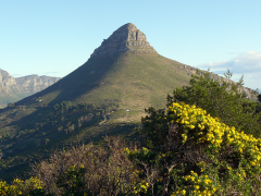 The popular spiral trail up Lions Head will close for maintenance next year.