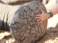 Credit: Blue Sky Society Trust