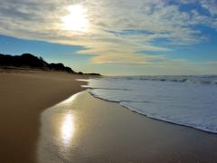 Gaza in Mozambique raked in US$6.3 million in tourism revenue in the first nine months of this year, receiving more than 96 000 tourists.